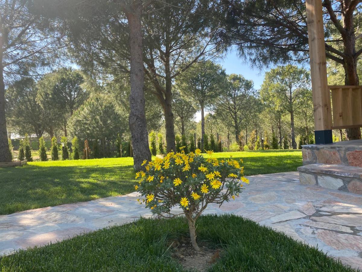 Elyada Otel Ve Bag Evi 8 Yas Ustu Tenedos Buitenkant foto